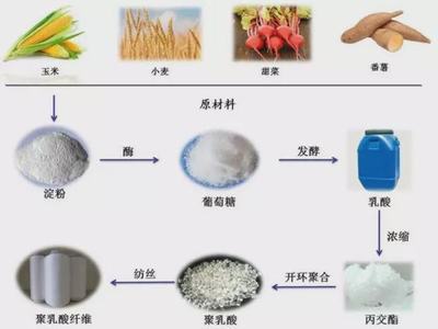 生物基材料成碳中和目標的&ldquo;關鍵先生&rdquo;?綠色低碳生活成主流