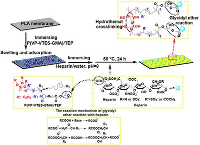 寧波材料所生物基聚合物微孔膜制備及改性研究獲進(jìn)展_中國膜工業(yè)協(xié)會
