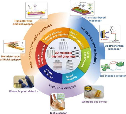 清華大學劉鍇 白凈衛afm綜述 面向生物電子學的非石墨烯二維材料 從基礎性質到器件應用