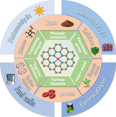 天津科技大學司傳領、王冠華等Adv. Colloid Interfac.綜述: 生物質衍生碳基單原子催化劑的制備及應用