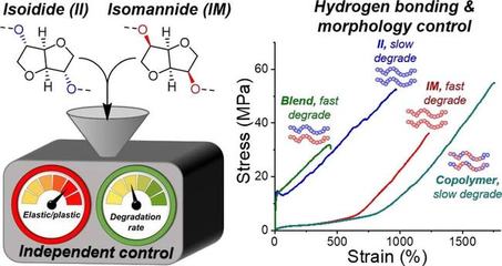 糖竟是可持續(xù)密鑰?糖基環(huán)保塑料兼具機(jī)械特性和可降解雙重優(yōu)勢