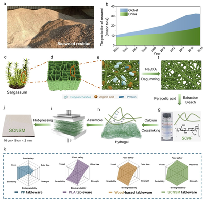 中科大俞書宏院士團隊AM:可食用、超強、熱穩定好的海藻基結構材料,可生物降解餐具新選擇!