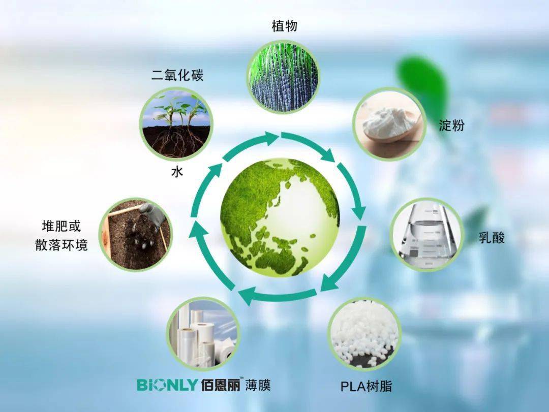 iPhone 13棄用傳統(tǒng)塑料膜，消費電子包裝材料迎來升級換代